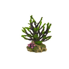 Nobby Aqua Ornaments Korelle mit Moos, 19 x 12 x 20.8 cm