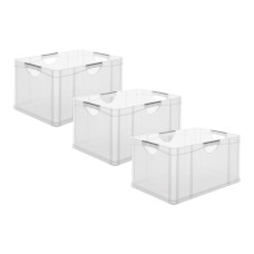 Rotho Aufbewahrungsbox A3 3 Stück, Transparent