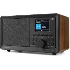 Audizio DAB+ Radio Padova Braun/Schwarz