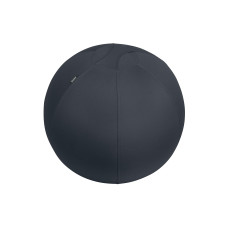 Leitz Sitzball Active 65 cm Dunkelgrau