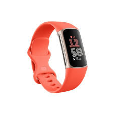 Fitbit Activity Tracker Charge 6