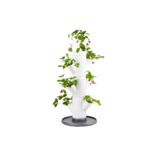 Gusta Garden Aufzuchttöpfe SISSI STRAWBERRY Starterset, Weiss