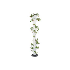 Gusta Garden Aufzuchttöpfe SISSI STRAWBERRY Infinity, Weiss