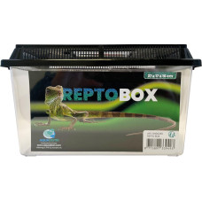 Repto Kunststoffterrarium Breedingbox M, 27 x 17 x 16 cm