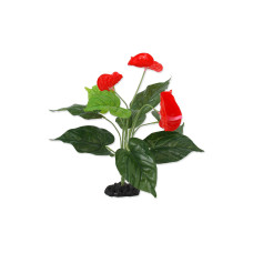 Repti Planet Anthurium, 40 cm