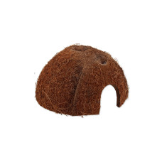 Repti Planet Coco Schale M