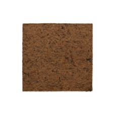 Repti Planet Coco Hintergrund 30 x 30 cm