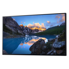 DELL Monitor UltraSharp 24 U2424H ohne Standfuss