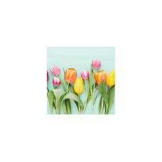Braun + Company Papierservietten Rainbow Tulips 33 cm x 33 cm, 20 Stück