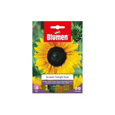 Blumen Saatgut Sonnenblume Twilight Zone