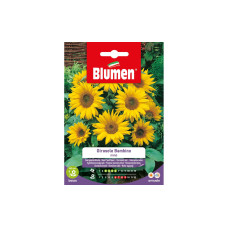 Blumen Saatgut Sonnenblume Bambino Blumen Saatgut Sonnenblume Bambino