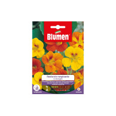 Blumen Saatgut Kletterkapuzinerkresse Mix
