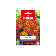 Blumen Saatgut Zwergtagetes Marietta