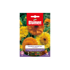 Blumen Saatgut Grossblütige Ringelblume Mix Blumen Saatgut Grossblütige Ringelblume Mix