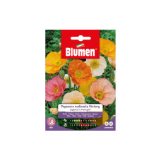 Blumen Saatgut Mohn Victory Mix Blumen Saatgut Mohn Victory Mix