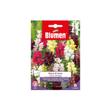 Blumen Saatgut Riesenlöwenmäulchen Mix