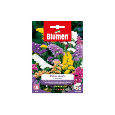 Blumen Saatgut Strandflieder Mix