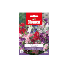 Blumen Saatgut Gartenwicke Mix Blumen Saatgut Gartenwicke Mix
