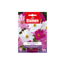Blumen Saatgut Cosmea Sensazione Mix Blumen Saatgut Cosmea Sensazione Mix