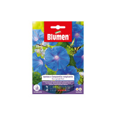 Blumen Saatgut Grossblütige Kletterwinde