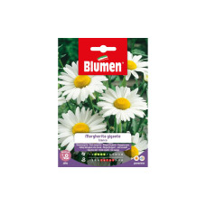 Blumen Saatgut Riesenmargerite Blumen Saatgut Riesenmargerite