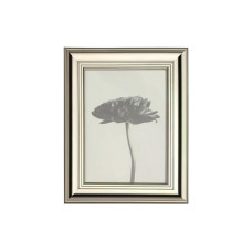 EGLO Leuchten Bilderrahmen Renabie Chrom, 13 x 18 cm