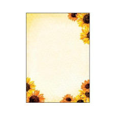 Sigel Motivpapier Field of Sun A4, 50 Blatt Sigel Motivpapier Field of Sun A4, 50 Blatt
