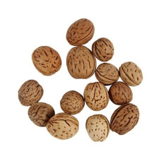 Creativ Company Deko Nüsse 25 g Creativ Company Deko Nüsse 25 g