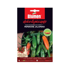 Blumen Samen Paprika Jalapeno Blumen Samen Paprika Jalapeno