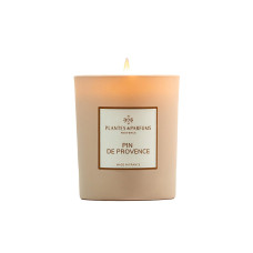 Plantes & Parfums Duftkerze Provence Kiefer 180 g