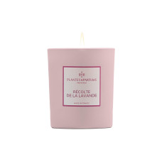 Plantes & Parfums Duftkerze Lavendel Ernte 180 g