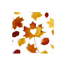 Paper + Design Papierservietten Autumn Love 33 cm x 33 cm, 20 Stück