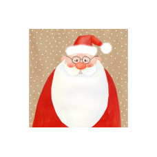 Braun + Company Weihnachtsservietten Lieber Nikolaus 33 cm x 33 cm, 20 Stück