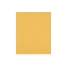 Bosch Professional Schleifpapier EXPERT C470, 230 x 280 mm, G 120