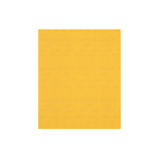 Bosch Professional Schleifpapier EXPERT C470, 230 x 280 mm, G 240