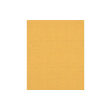 Bosch Professional Schleifpapier EXPERT C470, 230 x 280 mm, G 150