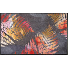 wash+dry Fussmatte Erbario 75 cm x 120 cm wash+dry Fussmatte Erbario 75 cm x 120 cm