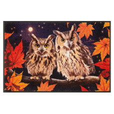 wash+dry Fussmatte Night Owls 50 cm x 75 cm wash+dry Fussmatte Night Owls 50 cm x 75 cm
