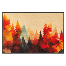 wash+dry Fussmatte Golden Season 50 cm x 75 cm wash+dry Fussmatte Golden Season 50 cm x 75 cm