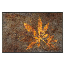 wash+dry Fussmatte Herb Blend 50 cm x 75 cm wash+dry Fussmatte Herb Blend 50 cm x 75 cm